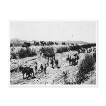 アリゾナ運河を掻き取ること