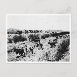 アリゾナ運河を掻き取ること ポストカード