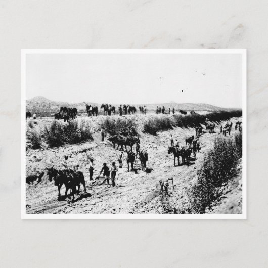 アリゾナ運河を掻き取ること ポストカード (正面)