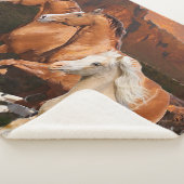 アリゾナ野生馬 シェルパブランケット (3/4)