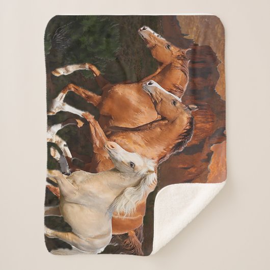 アリゾナ野生馬 シェルパブランケット (正面)