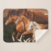 アリゾナ野生馬 シェルパブランケット (正面(横))