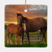 アリゾナ野生馬 セラミックオーナメント (裏面)
