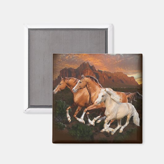 アリゾナ野生馬 マグネット (正面/裏面)