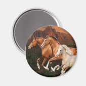 アリゾナ野生馬 マグネット (正面/裏面)