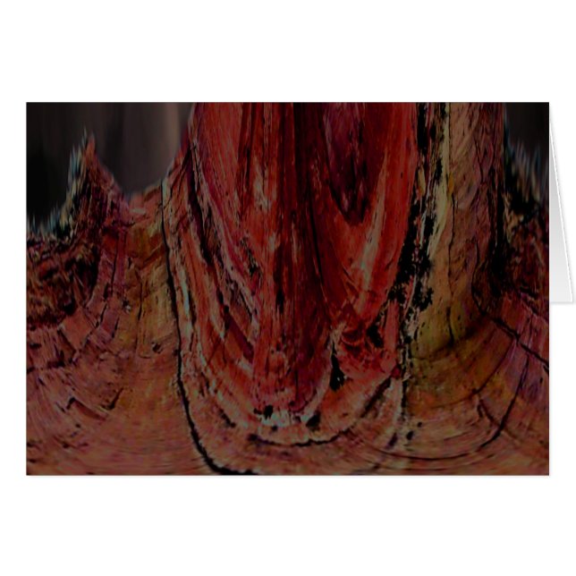 アリゾナ (正面横)