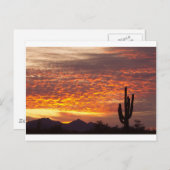 アリゾナ11月の日の出とSaguaro ポストカード (正面/裏面)