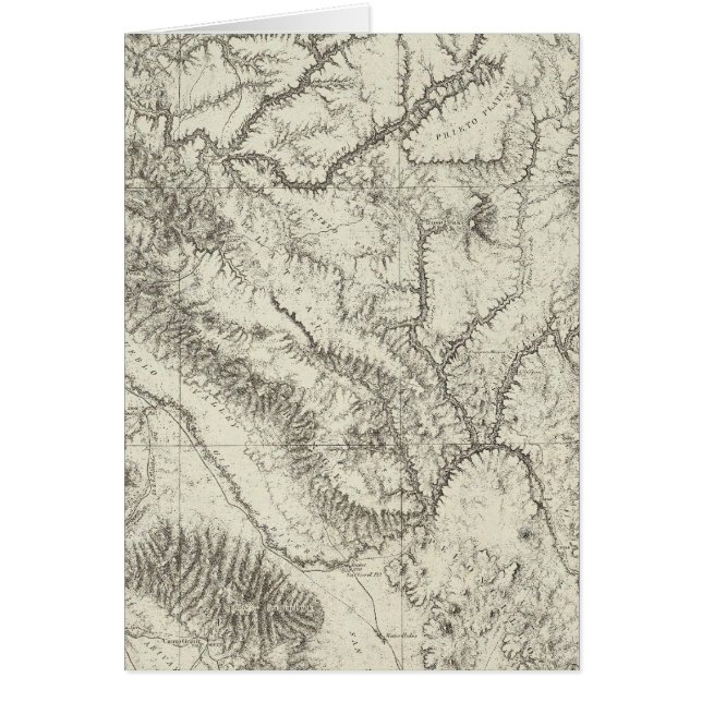 アリゾナ4 (正面)