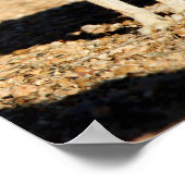 アリゾナ，アンテロープジャックラビットポートレート ポスター (角)