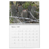 アリゾナ・カッチ カレンダー (2月 2027)