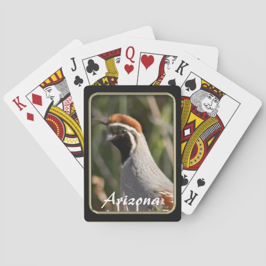 アリゾナ·ガンベルズ·ウェイル·トランプ トランプ (裏面)