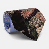 アリゾナ，グランドキャニオン ネクタイ (ロール)