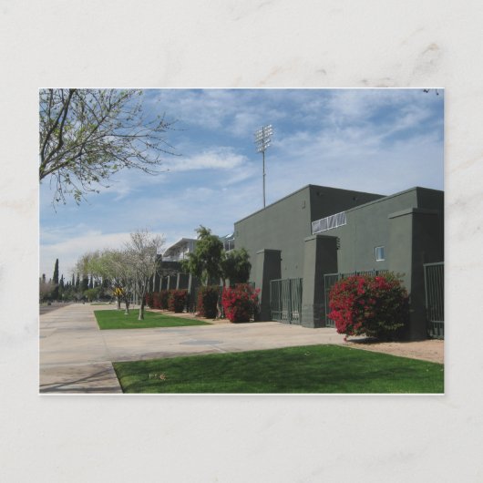 アリゾナ・サクタス・リーグ ポストカード (正面)