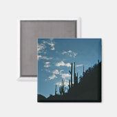 アリゾナ，サビノキャニオン マグネット (正面/裏面)