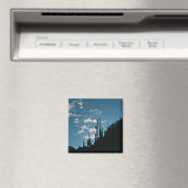 アリゾナ，サビノキャニオン マグネット (インサイチュ (食洗機))