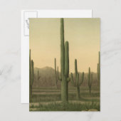 アリゾナ,サボテンの森 ポストカード (正面/裏面)