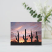 「アリゾナ・ショー」 ポストカード (スタンド正面)