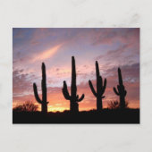 「アリゾナ・ショー」 ポストカード (正面)