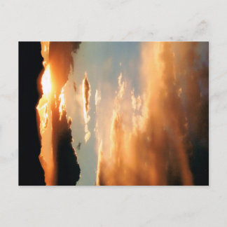 「アリゾナ・ショー」 ポストカード