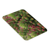 アリゾナ・ソノラ砂漠博物館セダム工場 マグネット (右側)