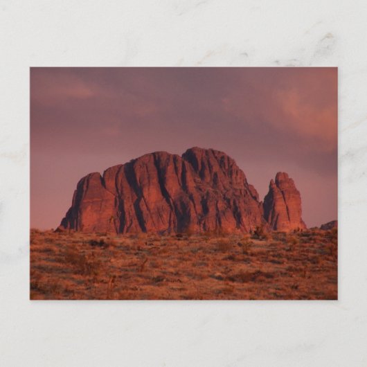 アリゾナ,ドラン春 ポストカード (正面)