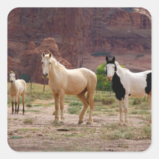 アリゾナ，ナバホインディアン予約，中国， スクエアシール (正面)