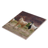 アリゾナ，ナバホインディアン予約，中国， タイル (側面)