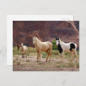 アリゾナ，ナバホインディアン予約，中国， ポストカード (正面/裏面)