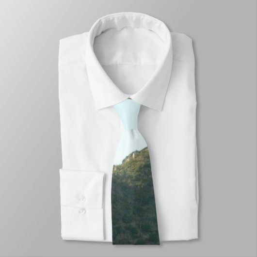 アリゾナ ネクタイ (タイ)