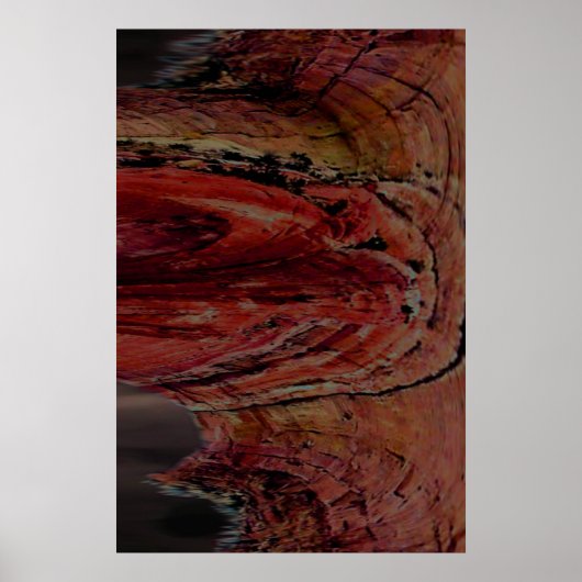 アリゾナ ポスター (正面)