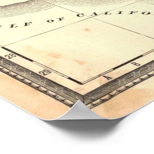 アリゾナ ポスター (角)