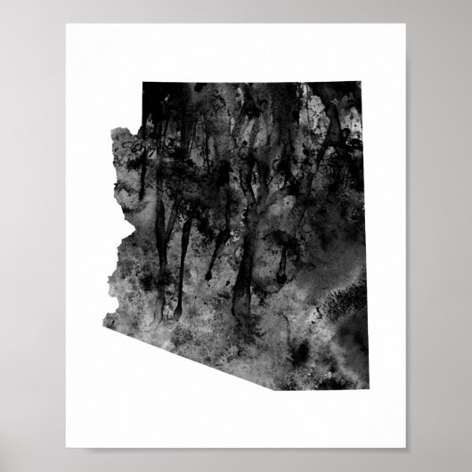 アリゾナ ポスター (正面)