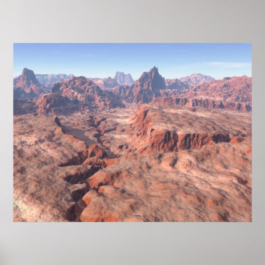 アリゾナ ポスター (正面)