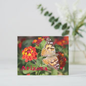 アリゾナ ポストカード (スタンド正面)