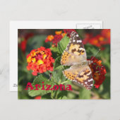 アリゾナ ポストカード (正面/裏面)