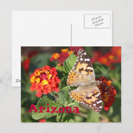 アリゾナ ポストカード (正面/裏面)