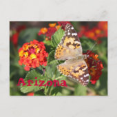 アリゾナ ポストカード (正面)