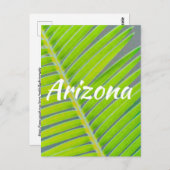 アリゾナ，手のひらのパターン ポストカード (正面/裏面)