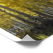 アリゾナ《植物》アスペン ポスター (角)