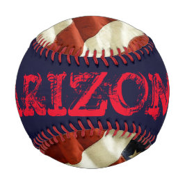 アリゾナ 野球ボール