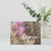 アリゾナ，開花の前 ポストカード (スタンド正面)