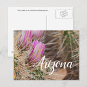 アリゾナ，開花の前 ポストカード (正面/裏面)