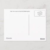 アリゾナ，開花の前 ポストカード (裏面)