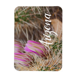 アリゾナ，開花の前 マグネット