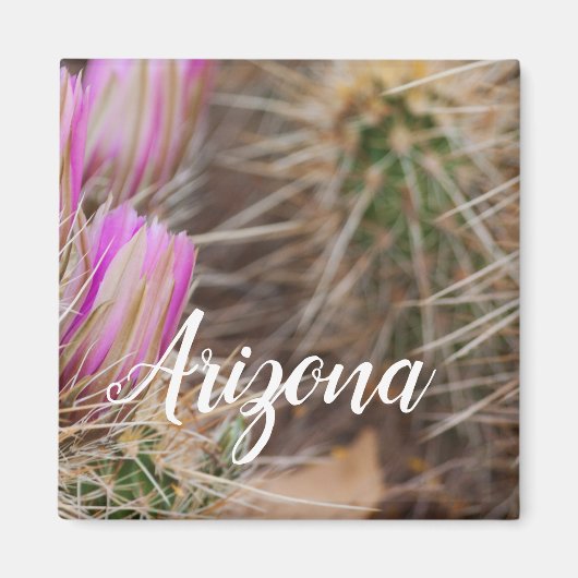 アリゾナ，開花の前 マグネット (正面)