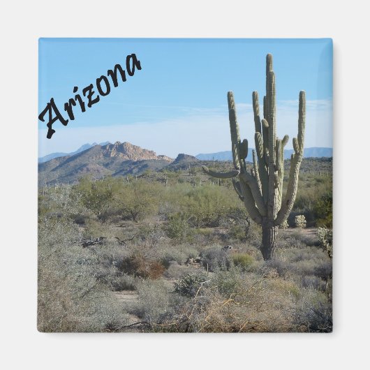 アリゾナApache Trail Cactusフォトマグネット マグネット (正面)