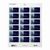 アリゾナSaguaroサボテン同心円モザイク ラベル (フルシート)