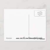 アリダールベルモントステークスポストパレード1978 ポストカード (裏面)