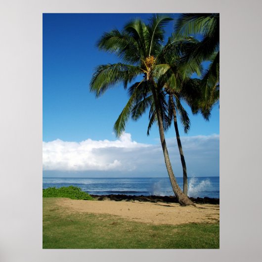 アリビーチ19 ポスター (正面)