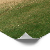 アリビーチ19 ポスター (角)